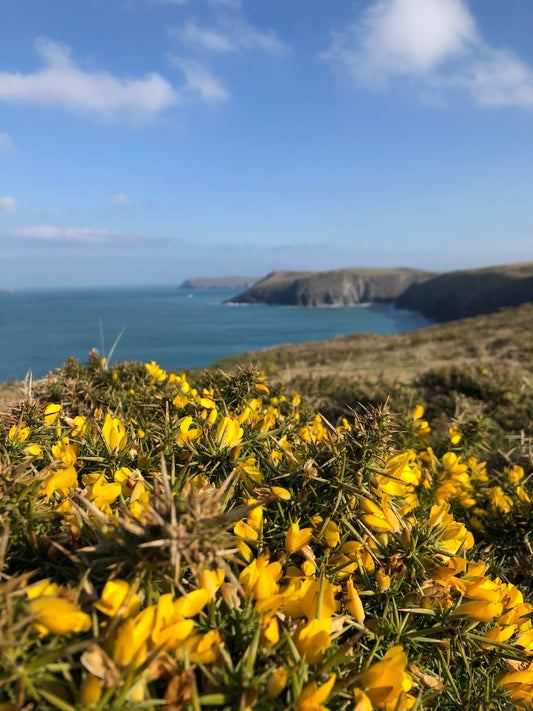 Where Stone and Sea Collide - Trevone Beach to Hawkers Cove